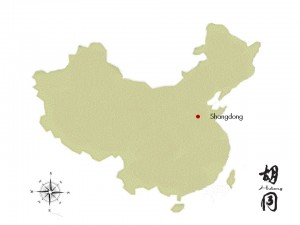 Shandong province is in north-east China