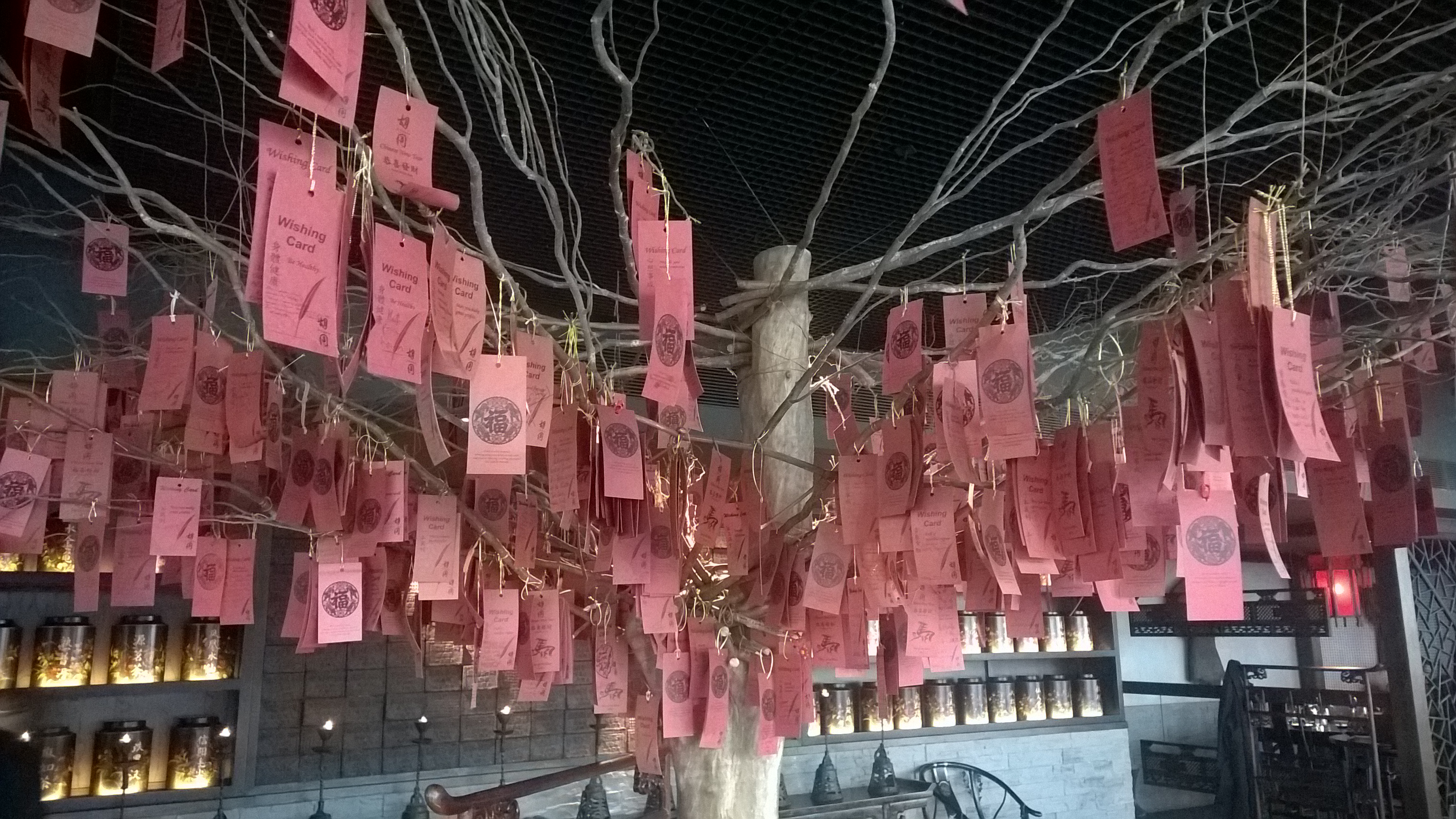 The story of our Wishing Tree | Hutong3072 x 1728